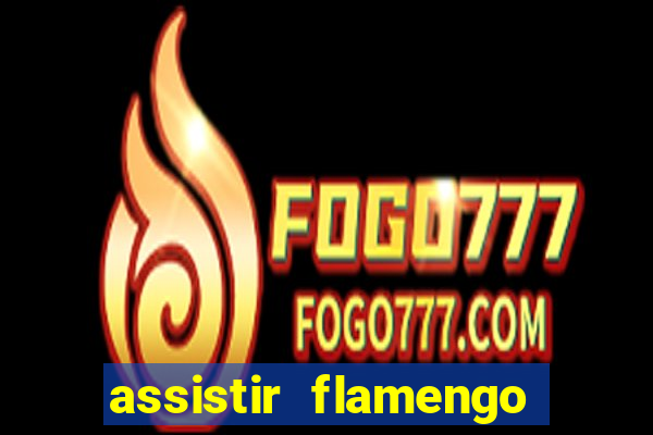 assistir flamengo futebol play hd